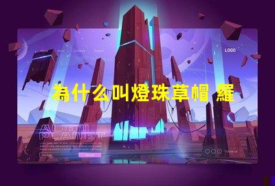 為什么叫燈珠草帽 羅為什么叫草帽當家